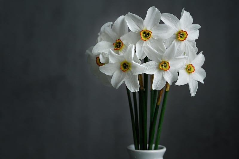 Floral Centerpiece